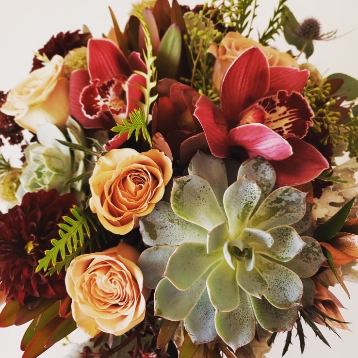 cactus flower retro 9